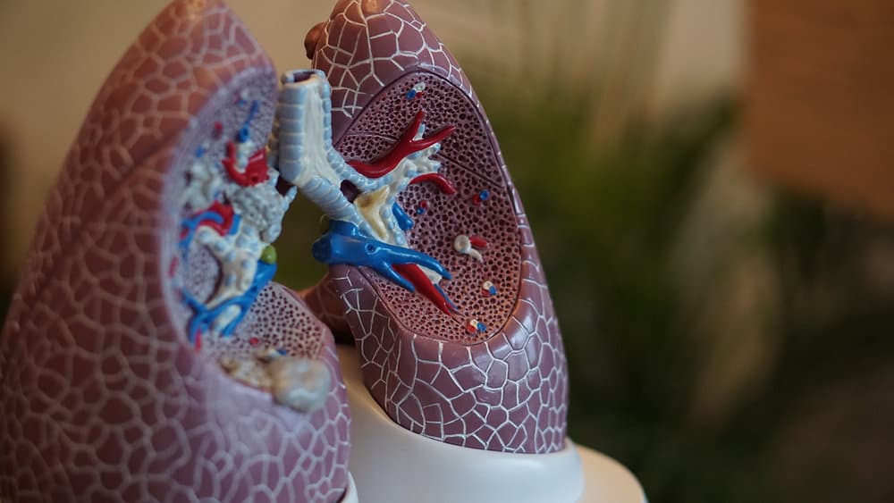 A Guide to Public Health England’s Fingertips Datasets: Unlocking Insights hero image